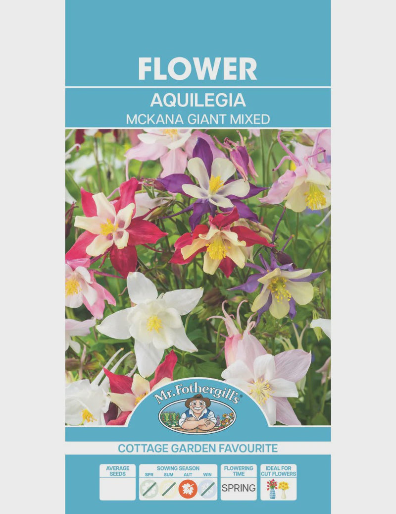Aquilegia McKana Giant Hybrid Seeds