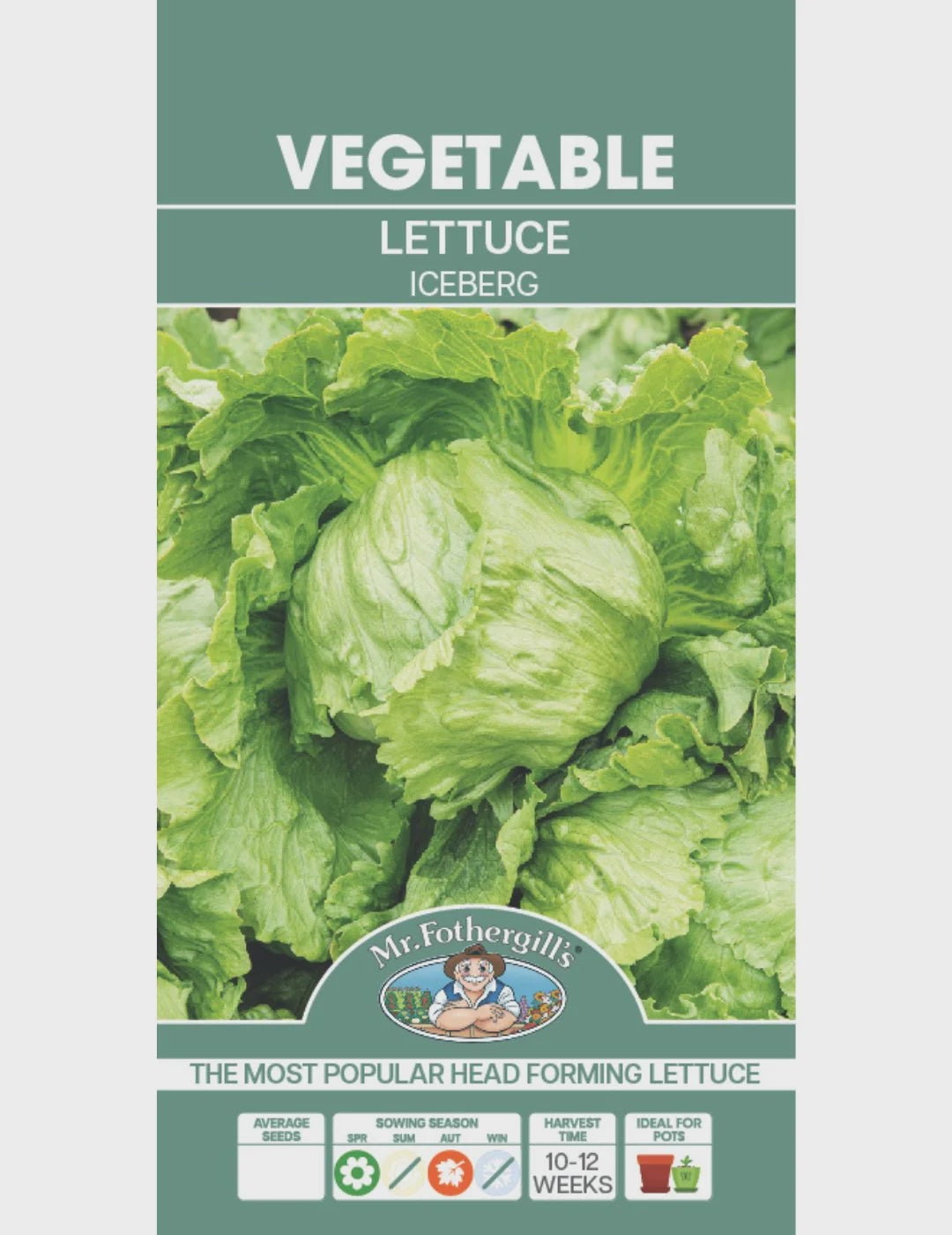 Lettuce Iceberg Seeds