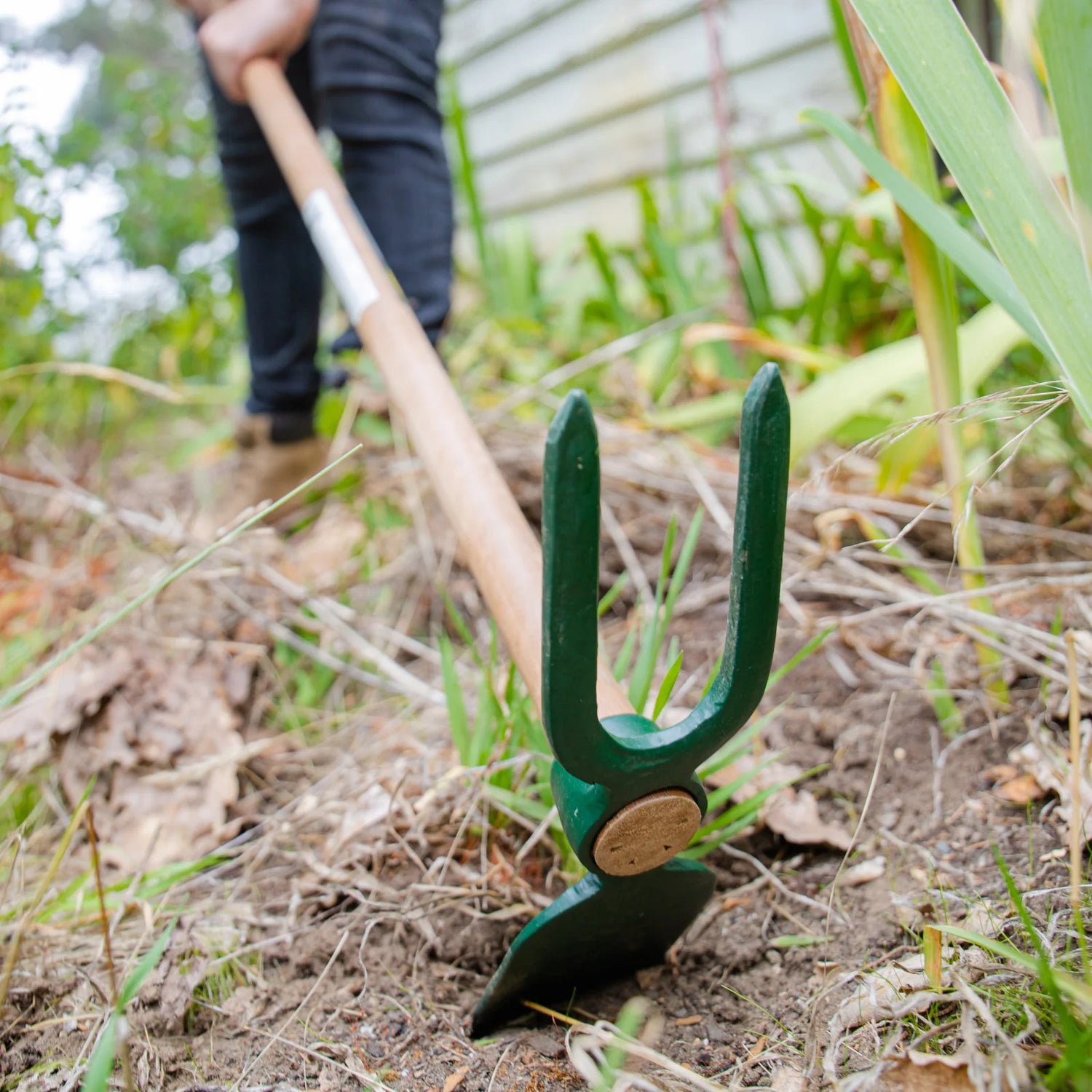 Hoe 2 Prong Long Handle