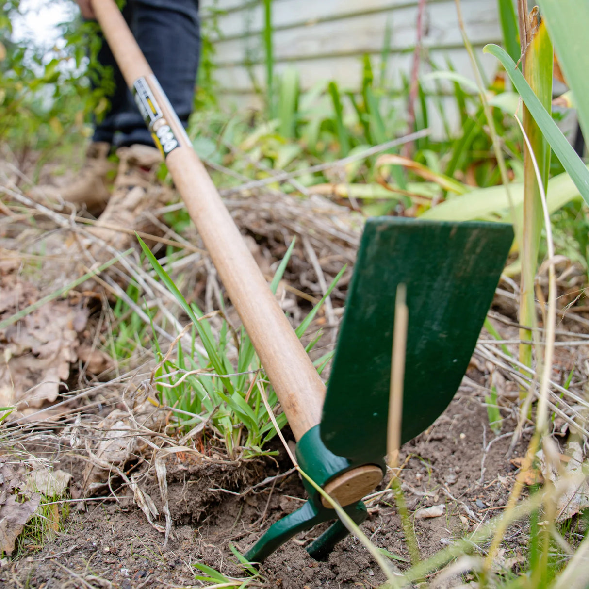 Hoe 2 Prong Long Handle