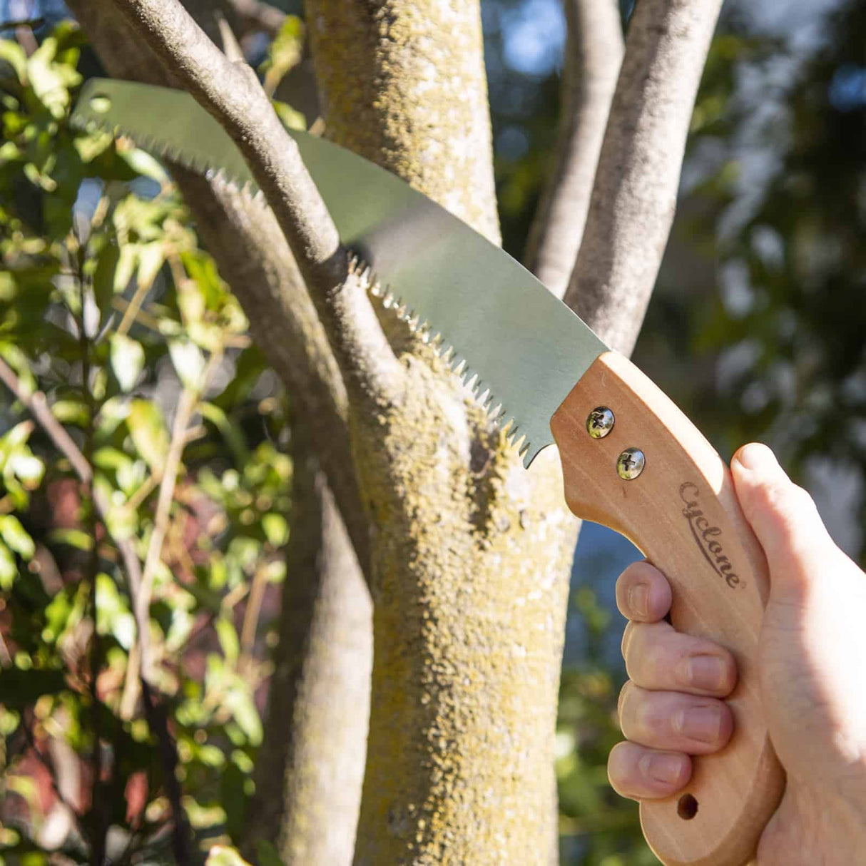 Pruning Saw Timber Curved