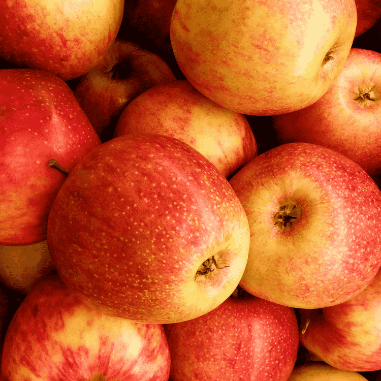 Apple 'Gala'