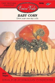 Baby Corn Seeds