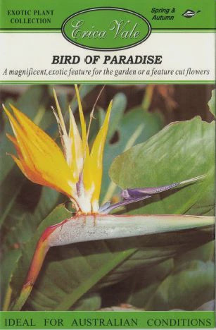 Bird of Paradise Seeds