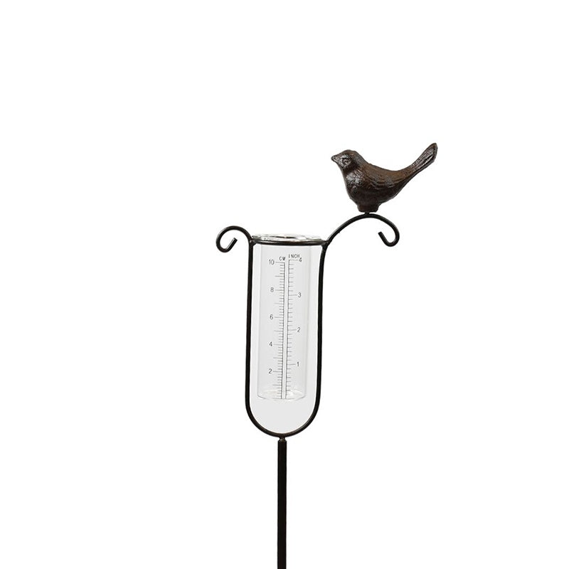 Bird Rain Gauge