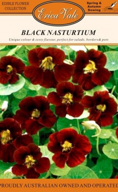 Nasturtium Black Seeds