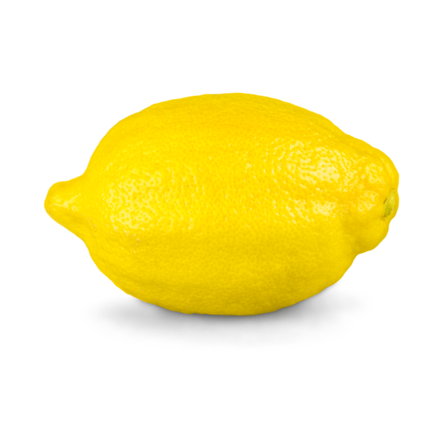 Lemon 'Lemonade' 17cm