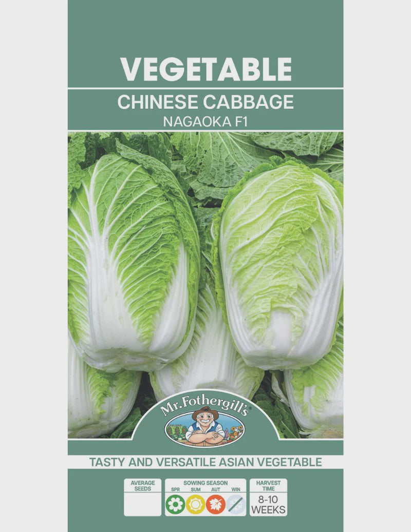 Chinese Cabbage Nagaoka 60 Days F1 Seeds