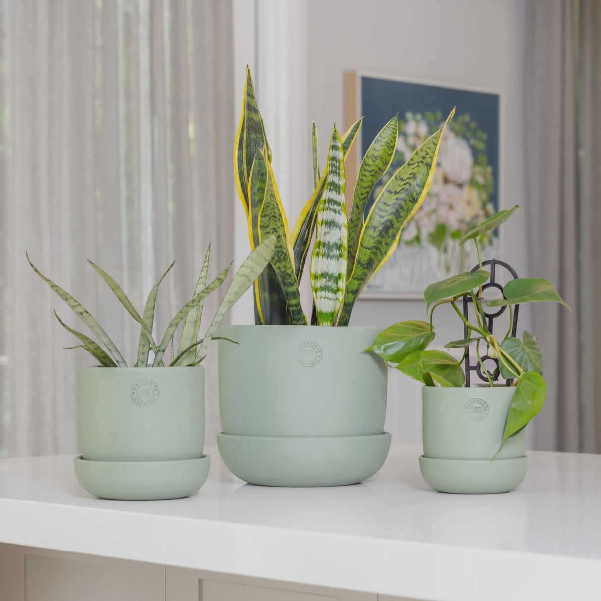Hana Pot Sage