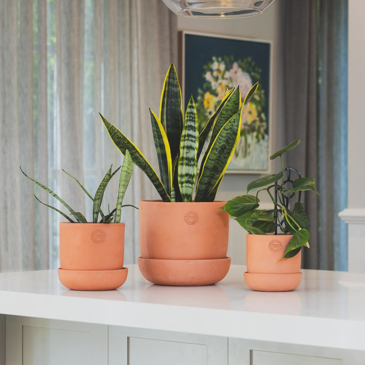 Hana Pot Terracotta