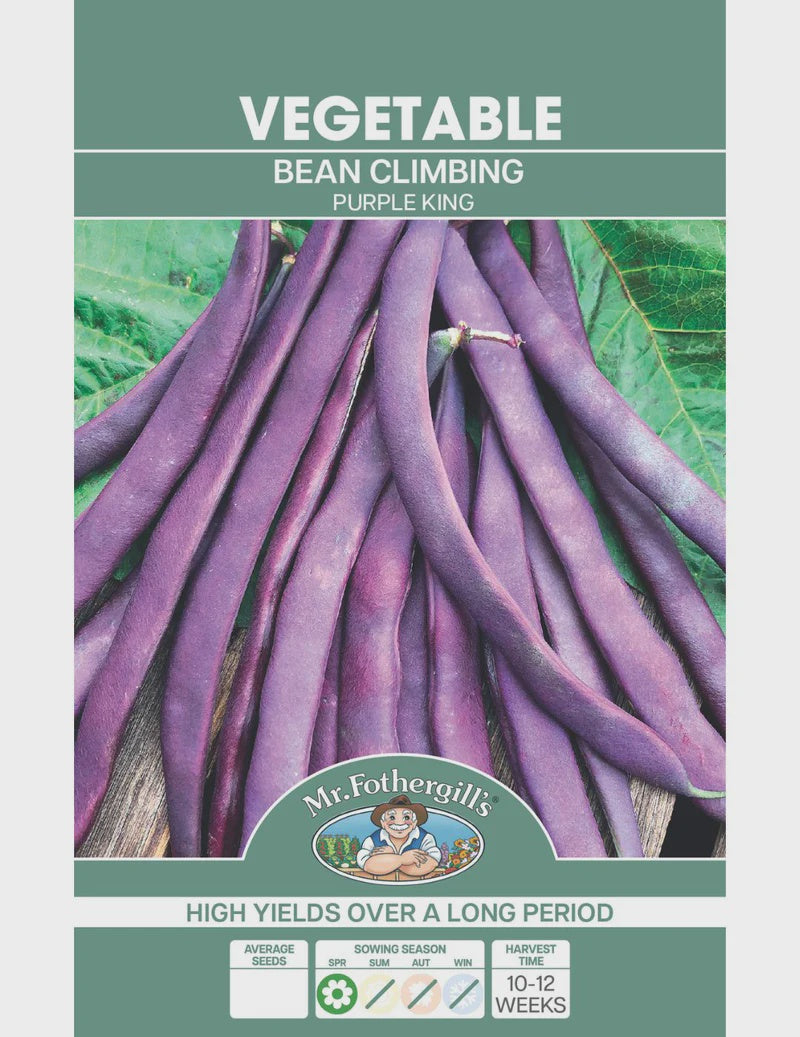 Bean Climbing Purple King Seeds