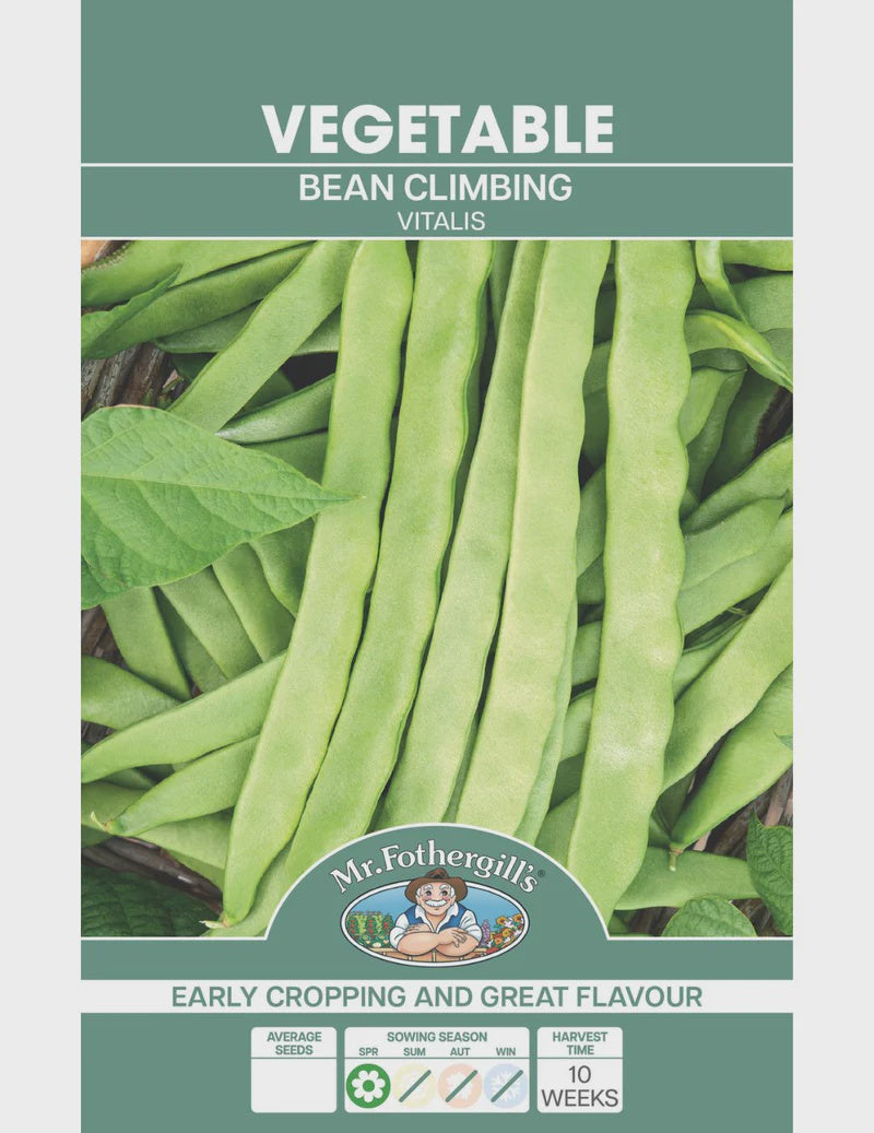 Bean Climbing Vitalis Seeds