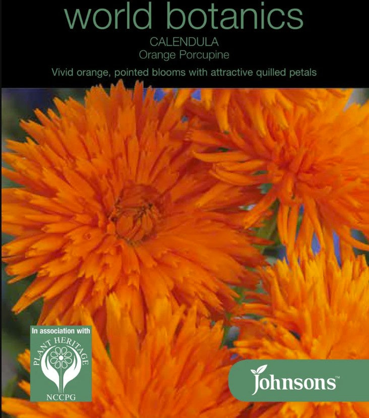 Calendula Orange Porcupine Seeds