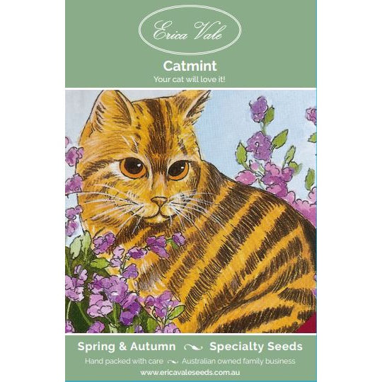 Catmint Seeds