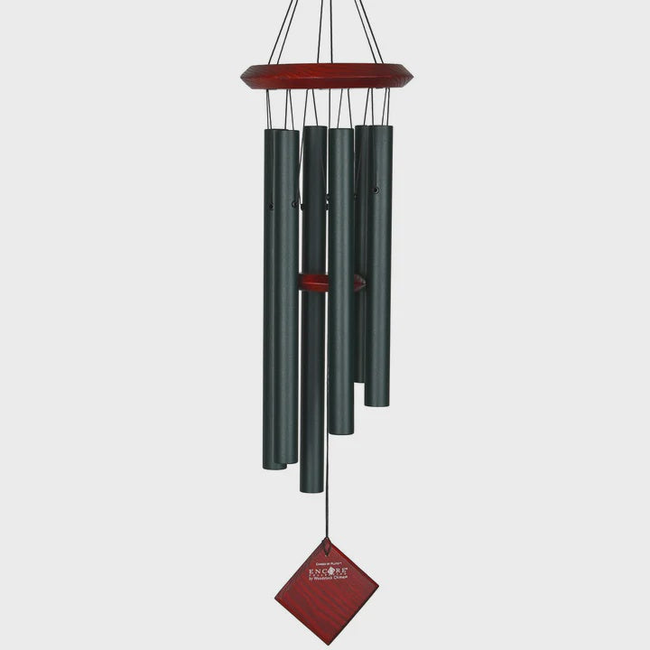 Woodstock Chimes of Pluto Evergreen