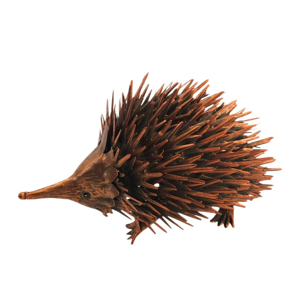Echidna