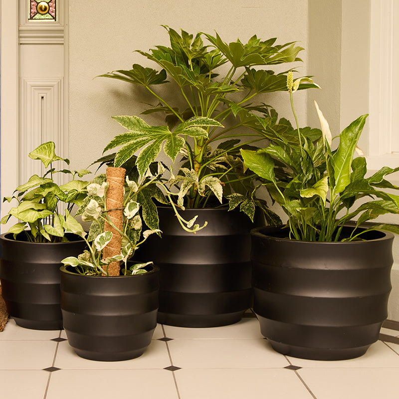 Ellipse Egg Pot Black