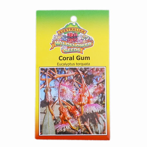 Eucalyptus Coral Gum - Seeds