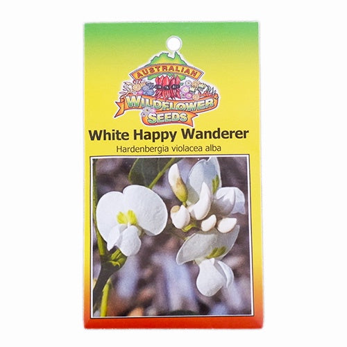 Hardenbergia White Happy Wanderer - Seeds