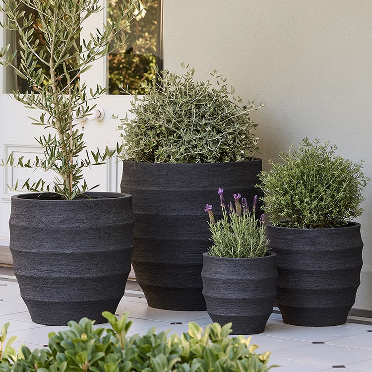Horizons Egg Pot Black