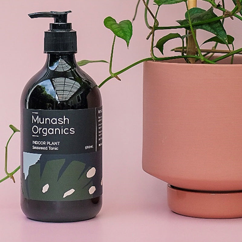 Indoor Plant Seaweed Tonic 500mL
