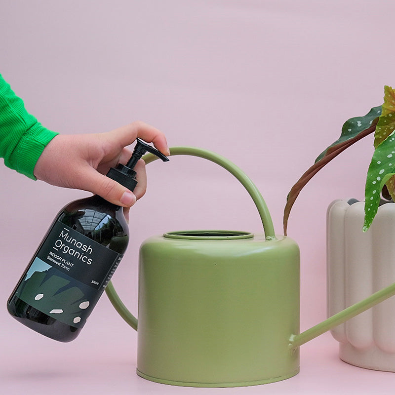 Indoor Plant Seaweed Tonic 500mL