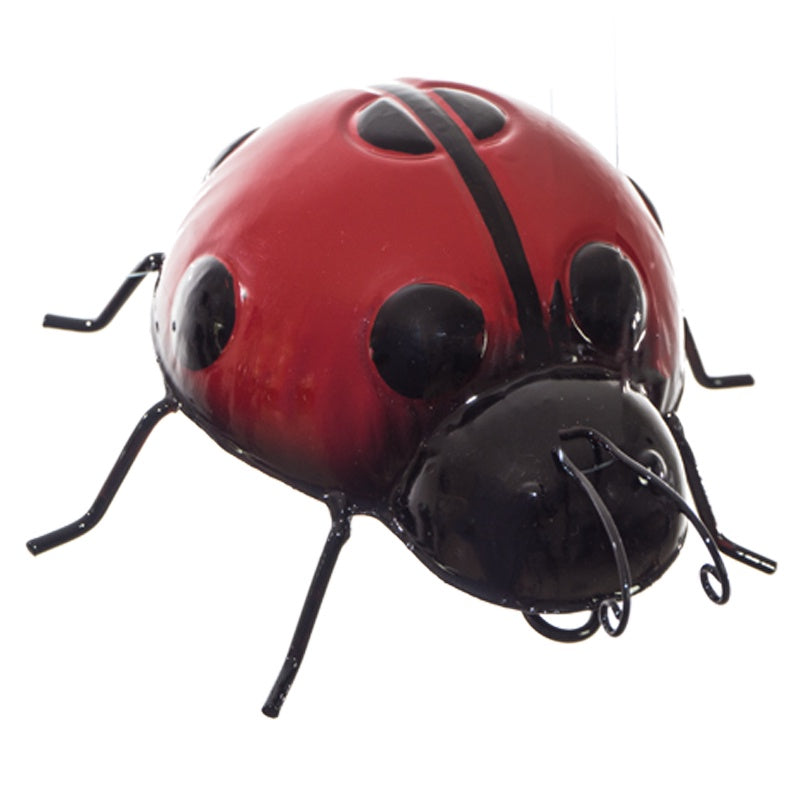 LADYBIRD MEDIUM