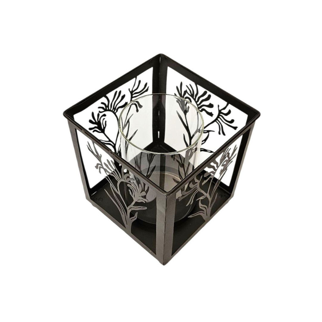 Kangaroo Paw Lantern