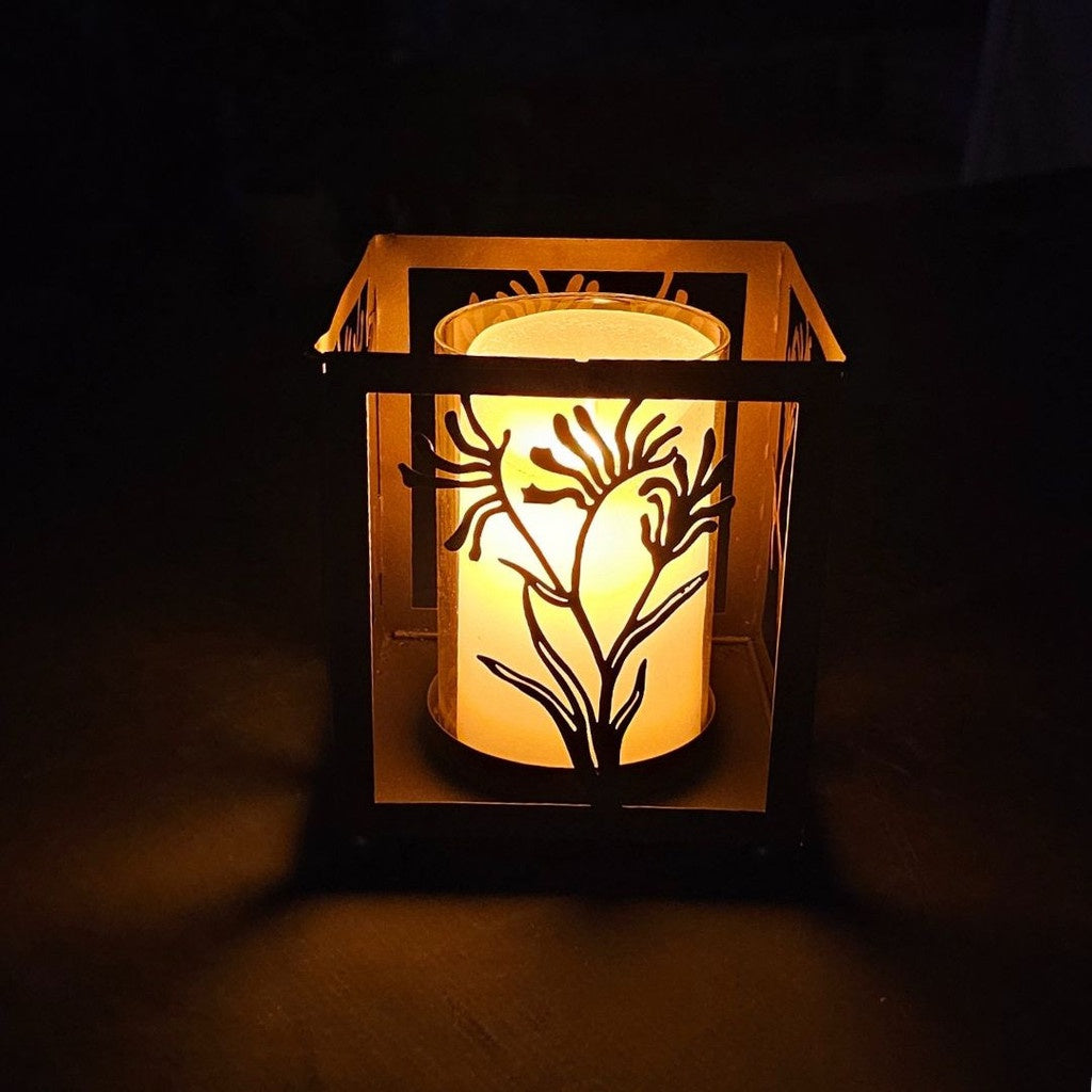 Kangaroo Paw Lantern