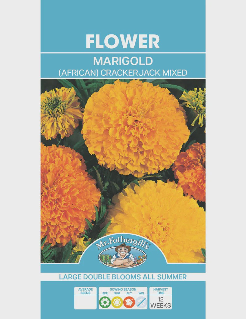 Marigold African Crackerjack Seeds