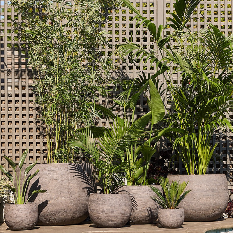 Mega Belly Grey Pietra