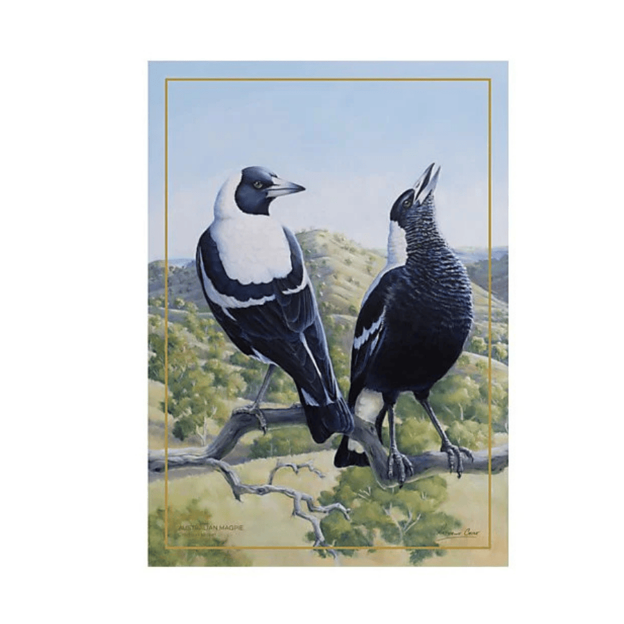 Tea Towel 50 x 70cm Magpie