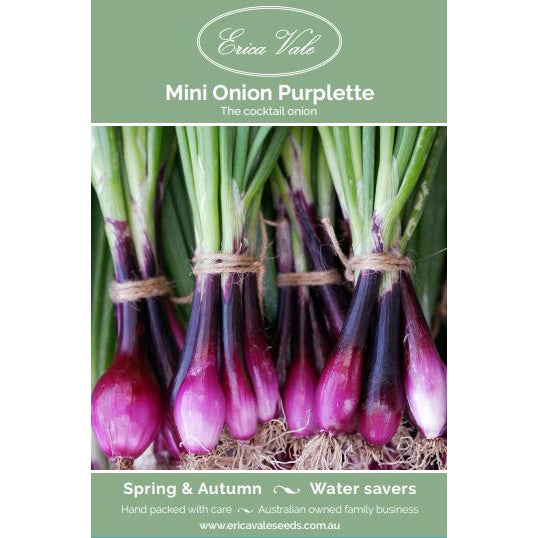Mini Onion Purplette Seeds