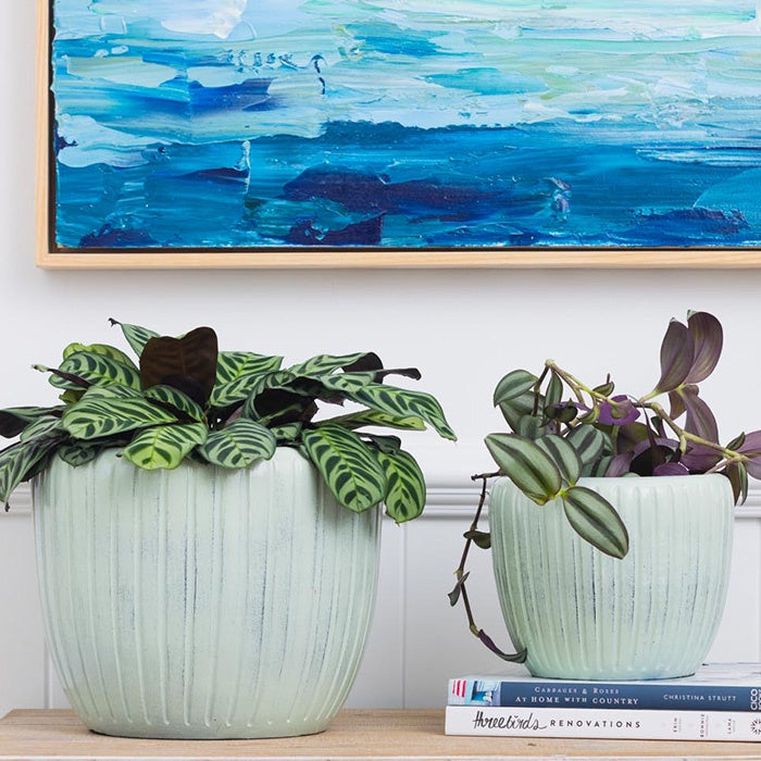 Nora Pot Green