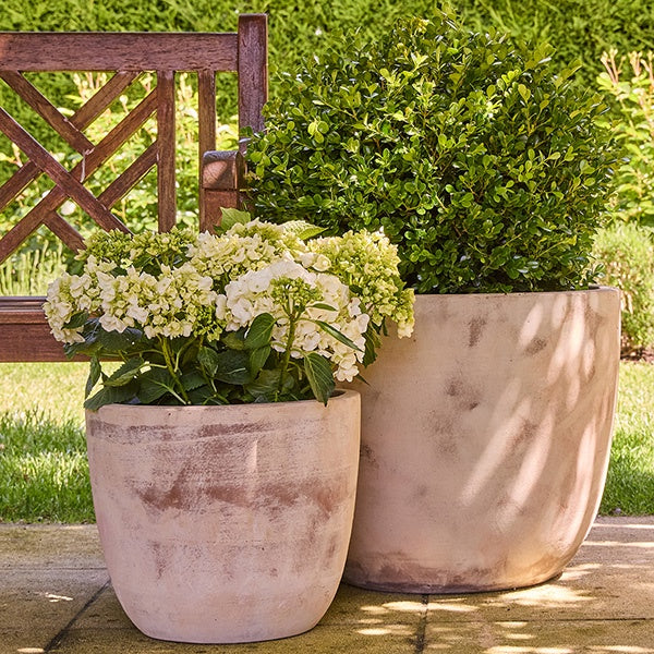 Egg Pot Antique Terracotta