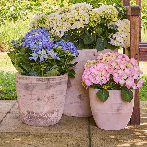 Egg Pot Antique Terracotta