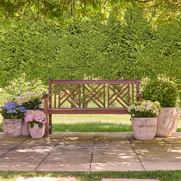 Egg Pot Antique Terracotta