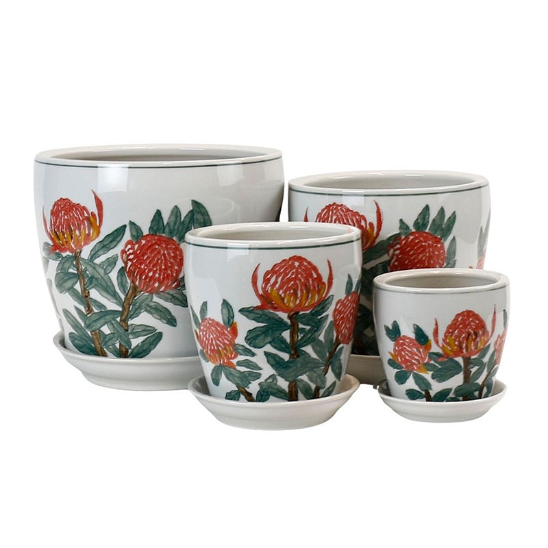 Waratah Planter