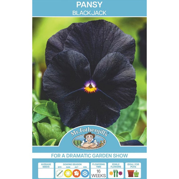 Pansy Blackjack Seeds