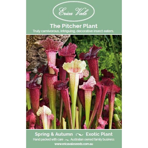 Pitcher Plant Carnivorous Seeds
