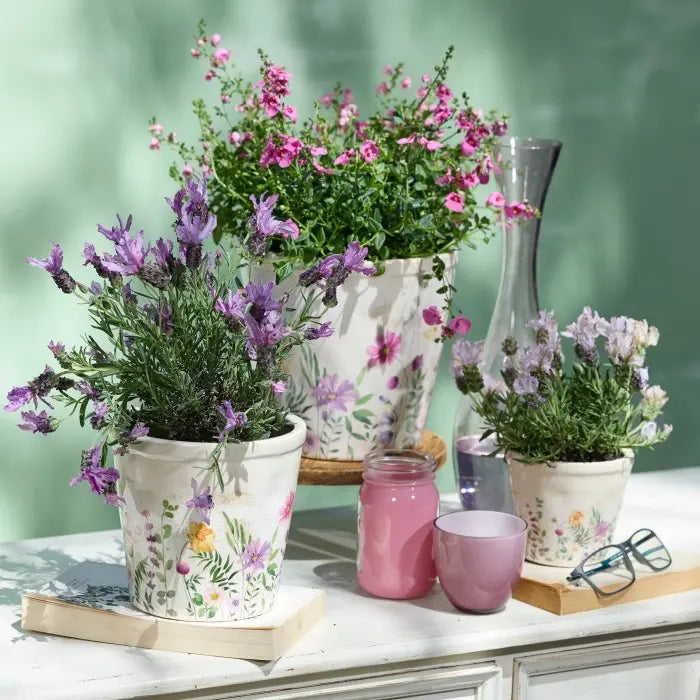 Pot Wildflower Tall