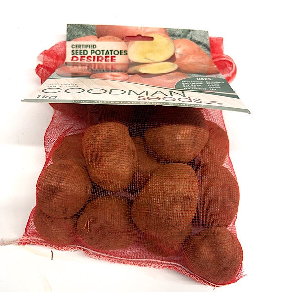 Seed Potato Desiree 1kg