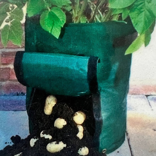 Potato Grow Bag 40cm x 55cm