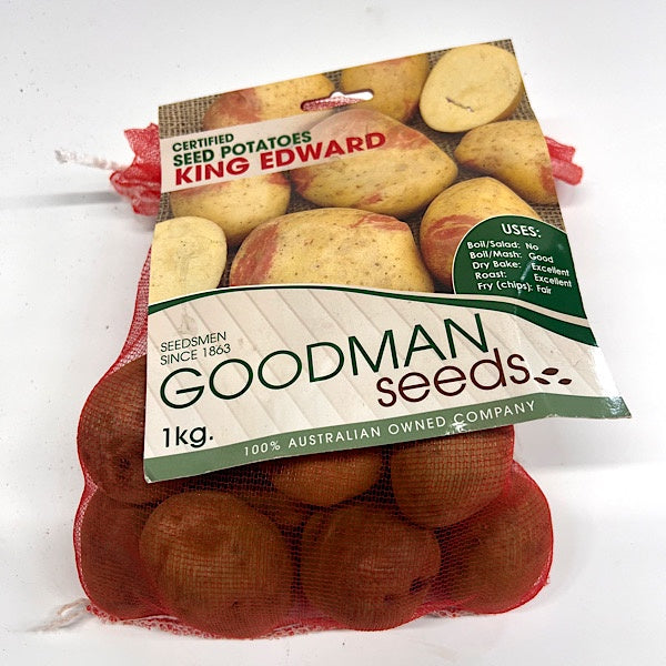 Seed Potato King Edward 1kg