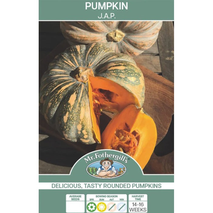 Pumpkin Kent Seeds