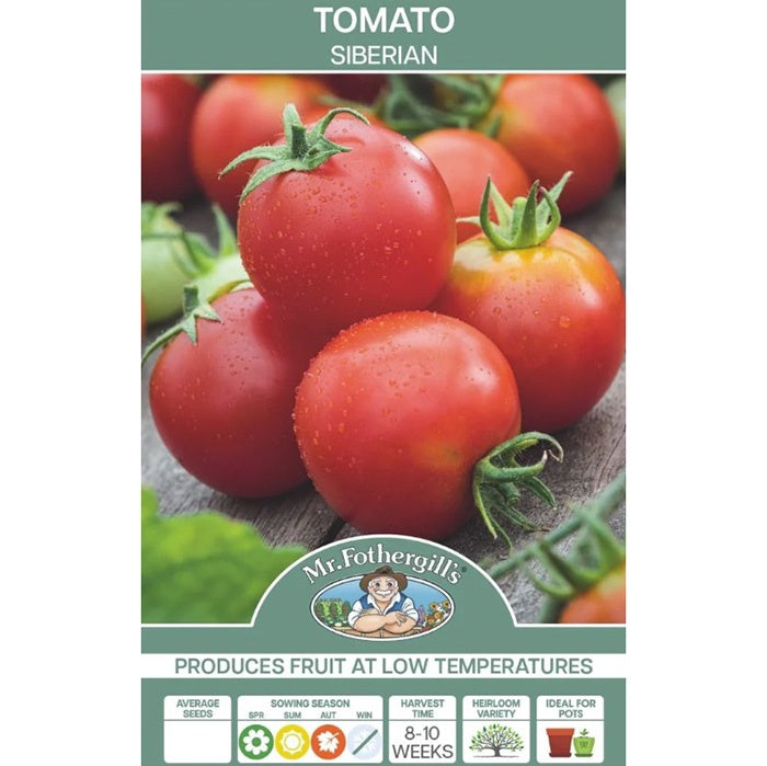 Tomato Siberian Seeds