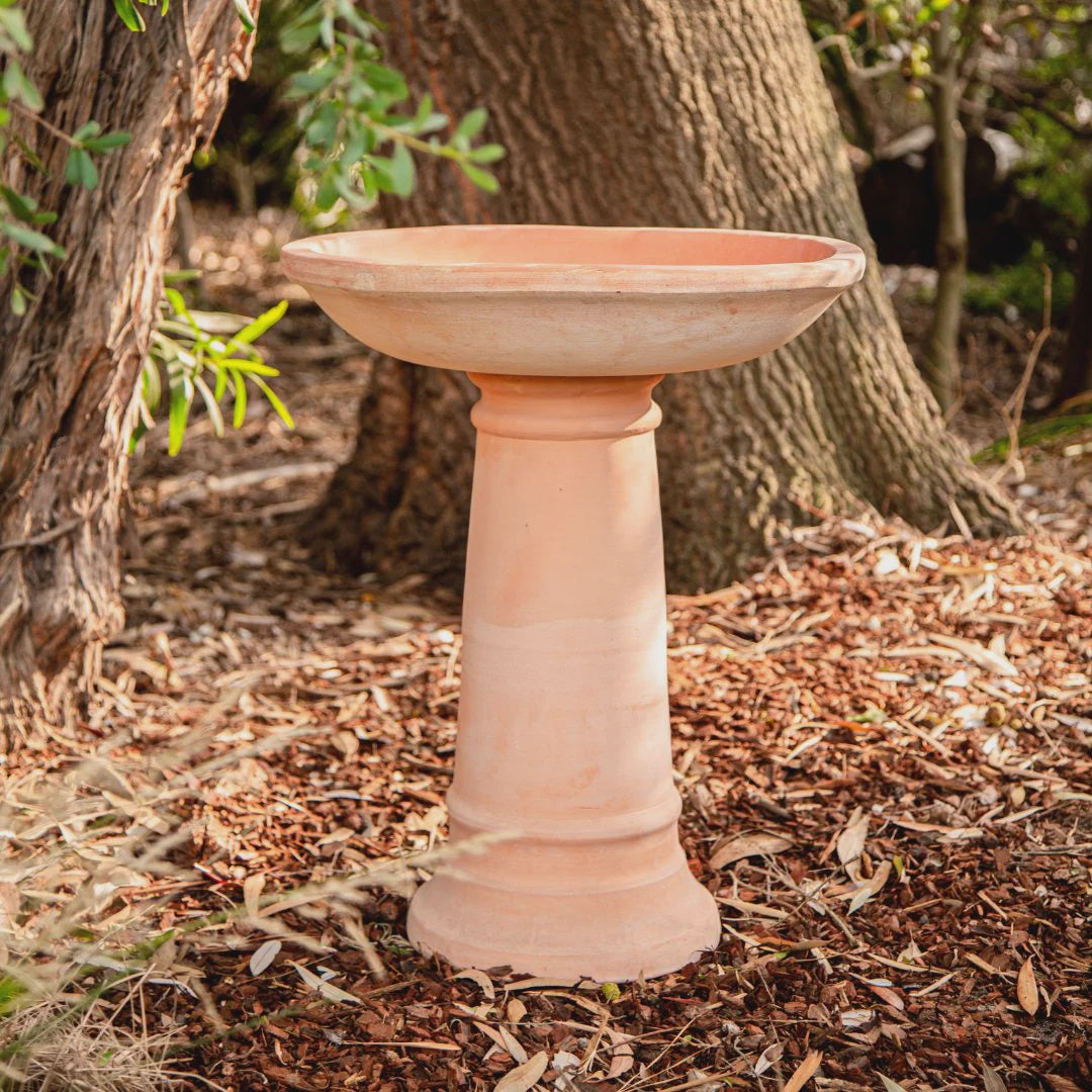 Siena Birdbath Terracotta
