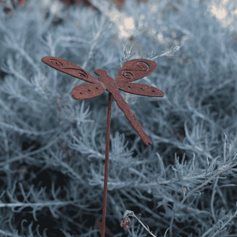 Small Rust Dragonfly Stick