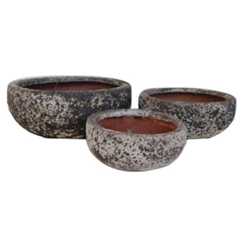 Succulent Bowl Oceanic White