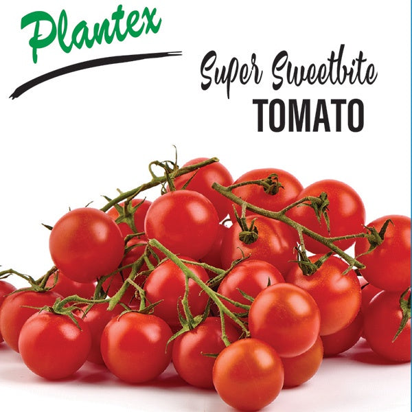 Tomato Super Sweet Bite 12cm